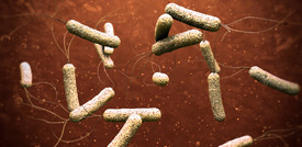 Troppi antibiotici non ci proteggeranno da nuove pandemie