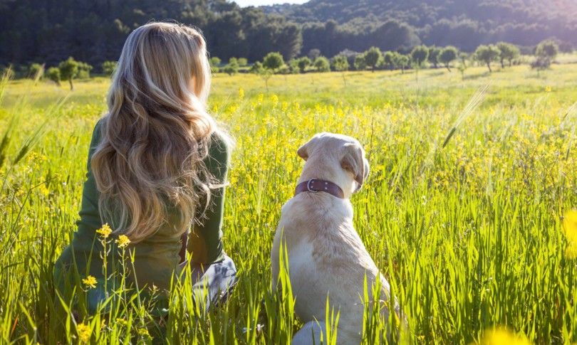 cani riconoscono stress persone tramite sudore respiro
