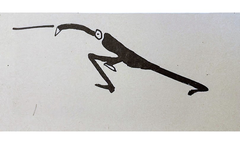 disegni di kafka prima volta pubblicati adelphi