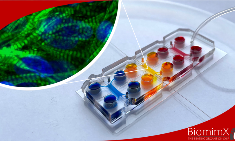 azienda tessuti umani test sicurezza farmaci