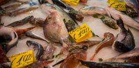 Il pesce vince sulla carne: ha più potere nutrizionale