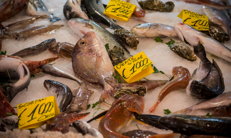 alimentazione pesce vince su carne piu potere nutrizionale