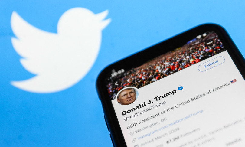 ritorno trump twitter musk buone mani