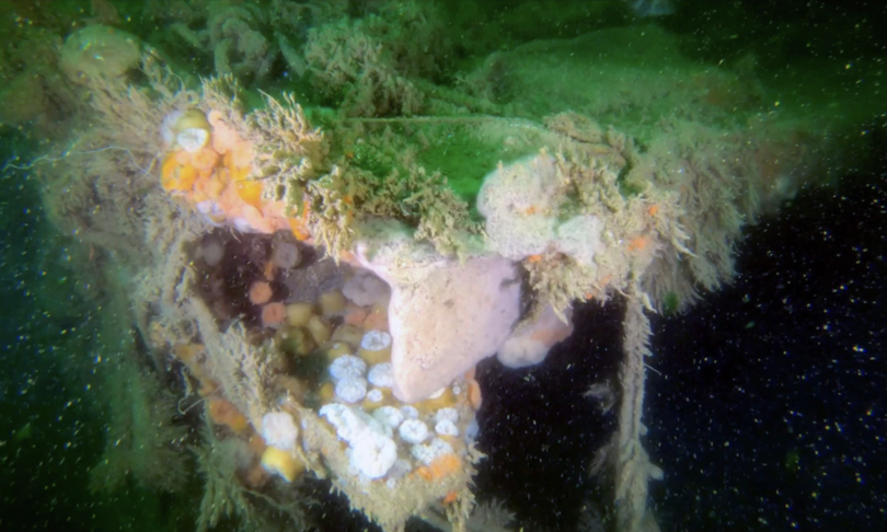 relitto nave seconda guerra mondiale inquina mare nord