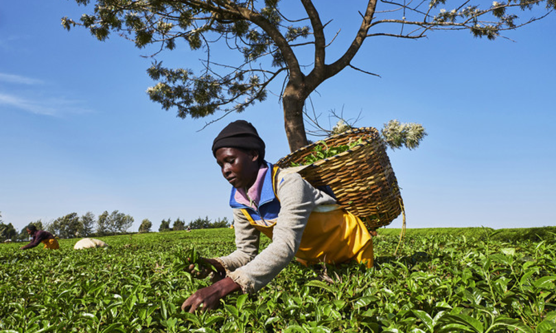 futuro africa si gioca prossimi 30 anni