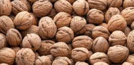Cibi sani e una dieta adeguata possono allontanare l’Alzheimer?