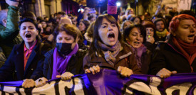Erdogan 'il mediatore' fai conti con le proteste di piazza