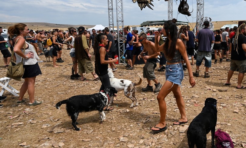 decreto legge rave party