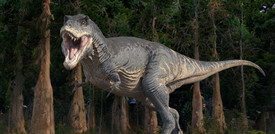 Il T-Rex non ruggiva, tubava