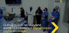 Otto notizie di scienza che ricorderemo del 2022