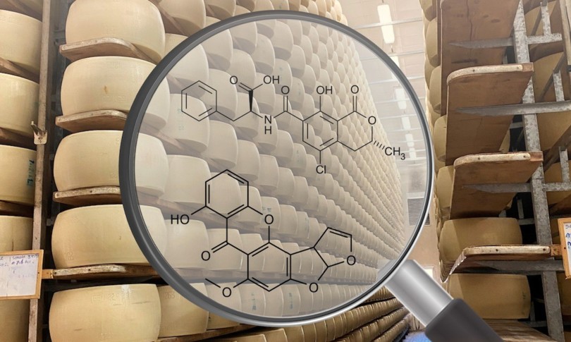 trovate micotossine 94 buste formaggi grattugiati