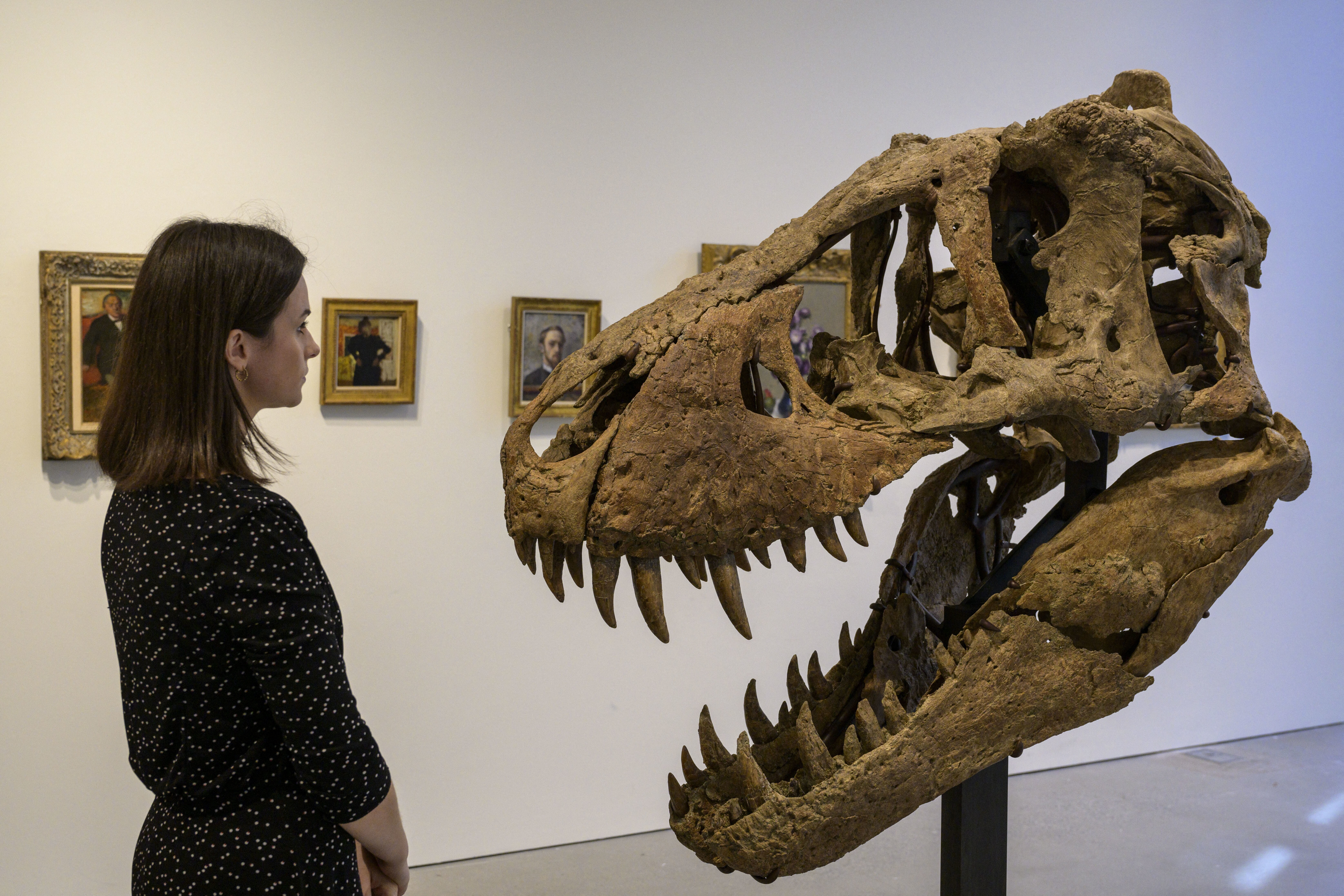 Segni sui fossili svelano i pasti del T-Rex
