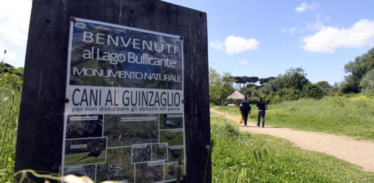 Il lago nel cuore di Roma minacciato dalle ruspe
