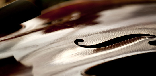 A Roma arriva un violoncello Stradivari sopravvissuto a un naufragio