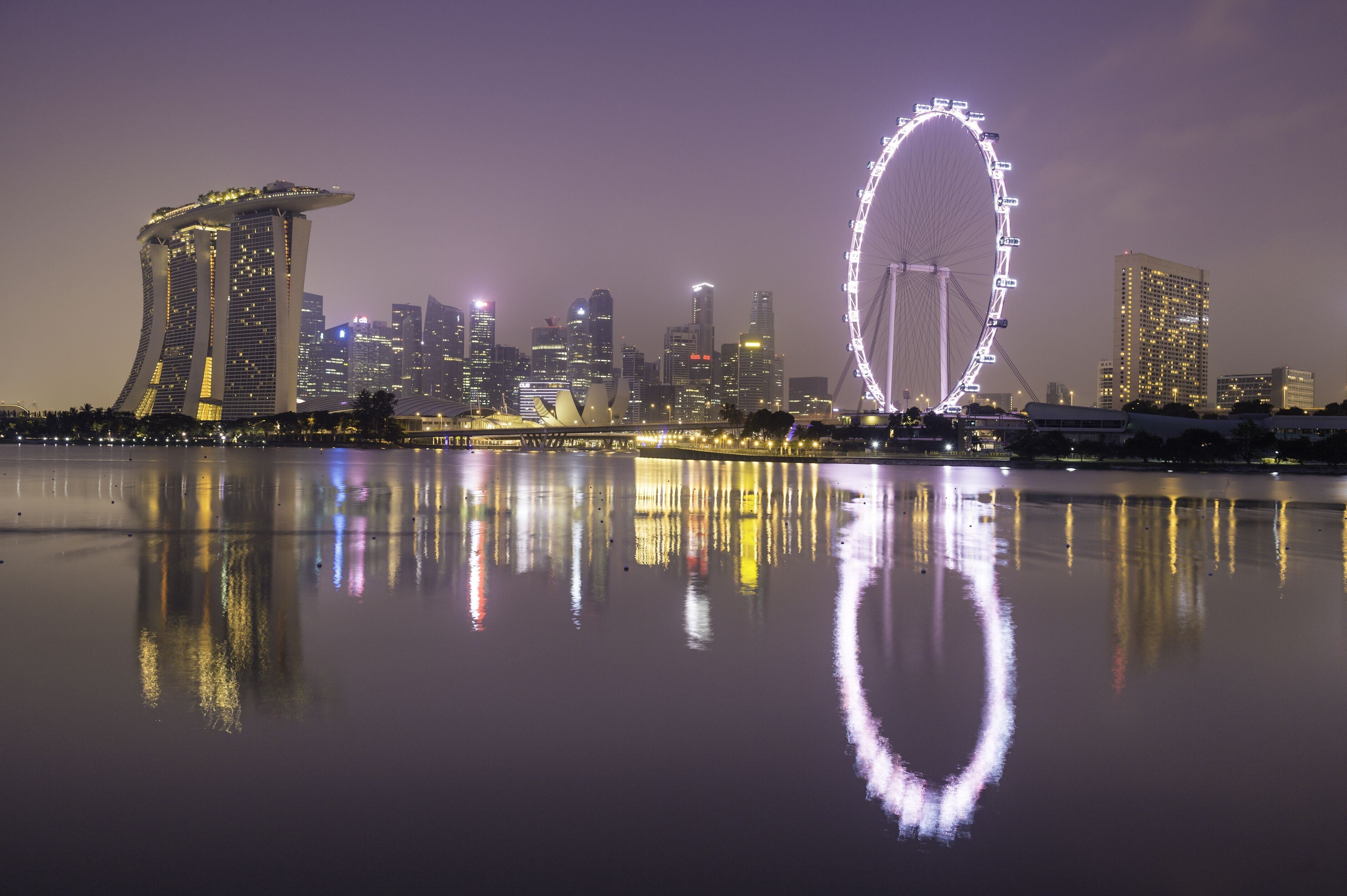 Singapore sfida il calo delle nascite e lancia una piattaforma di incontri