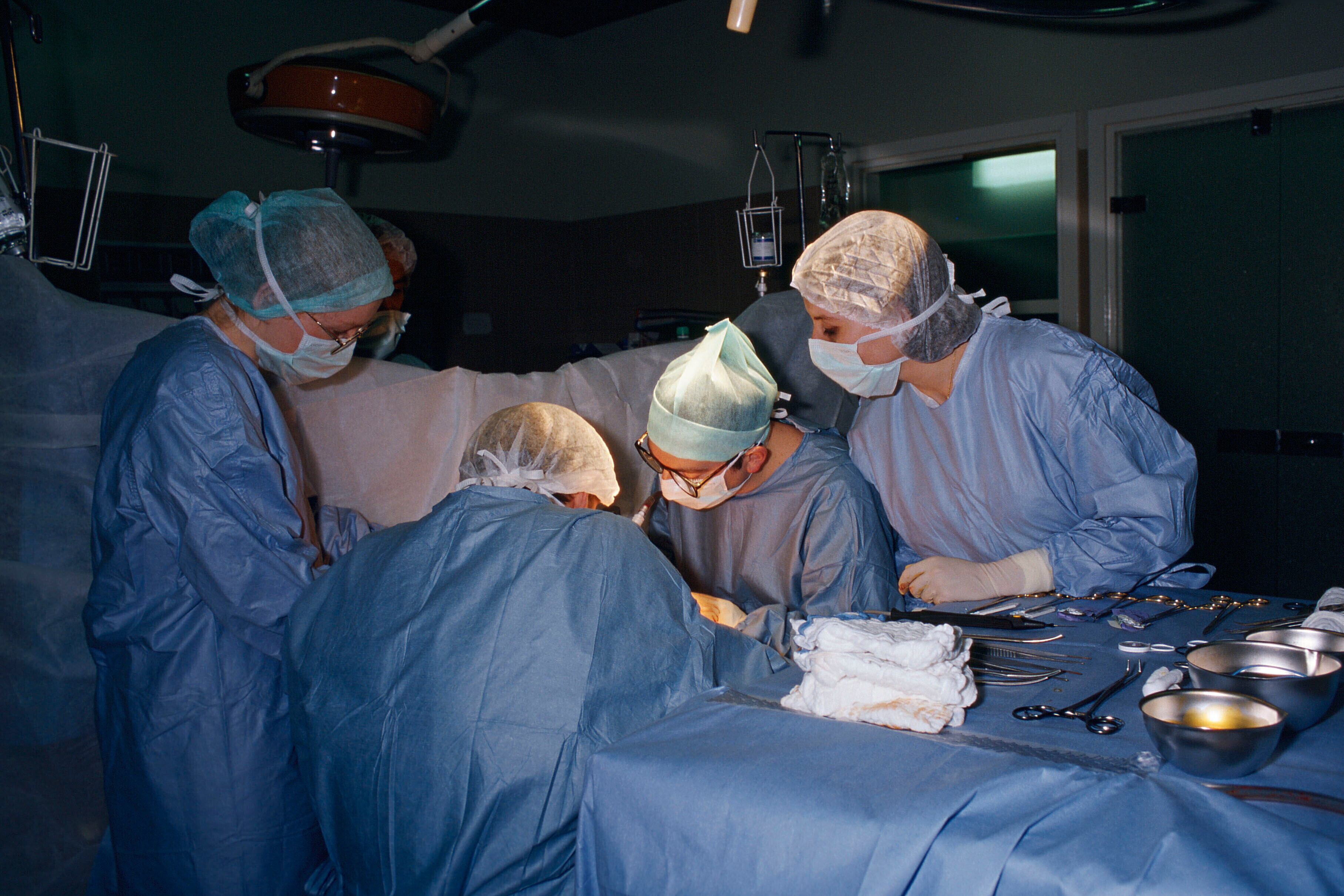 Fegato trapiantato da un maiale, paziente sopravvive 171 giorni