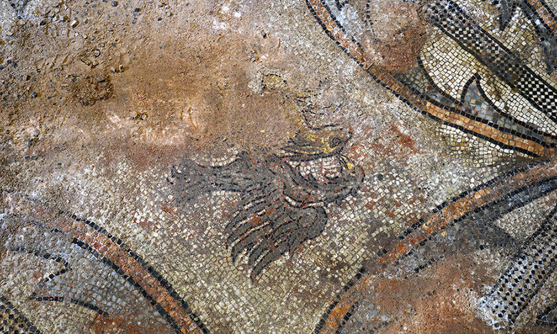 salvare basilica san marco danni acqua alta