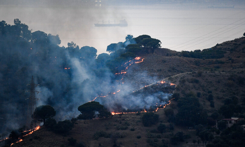 caldo incendi sicilia devastata