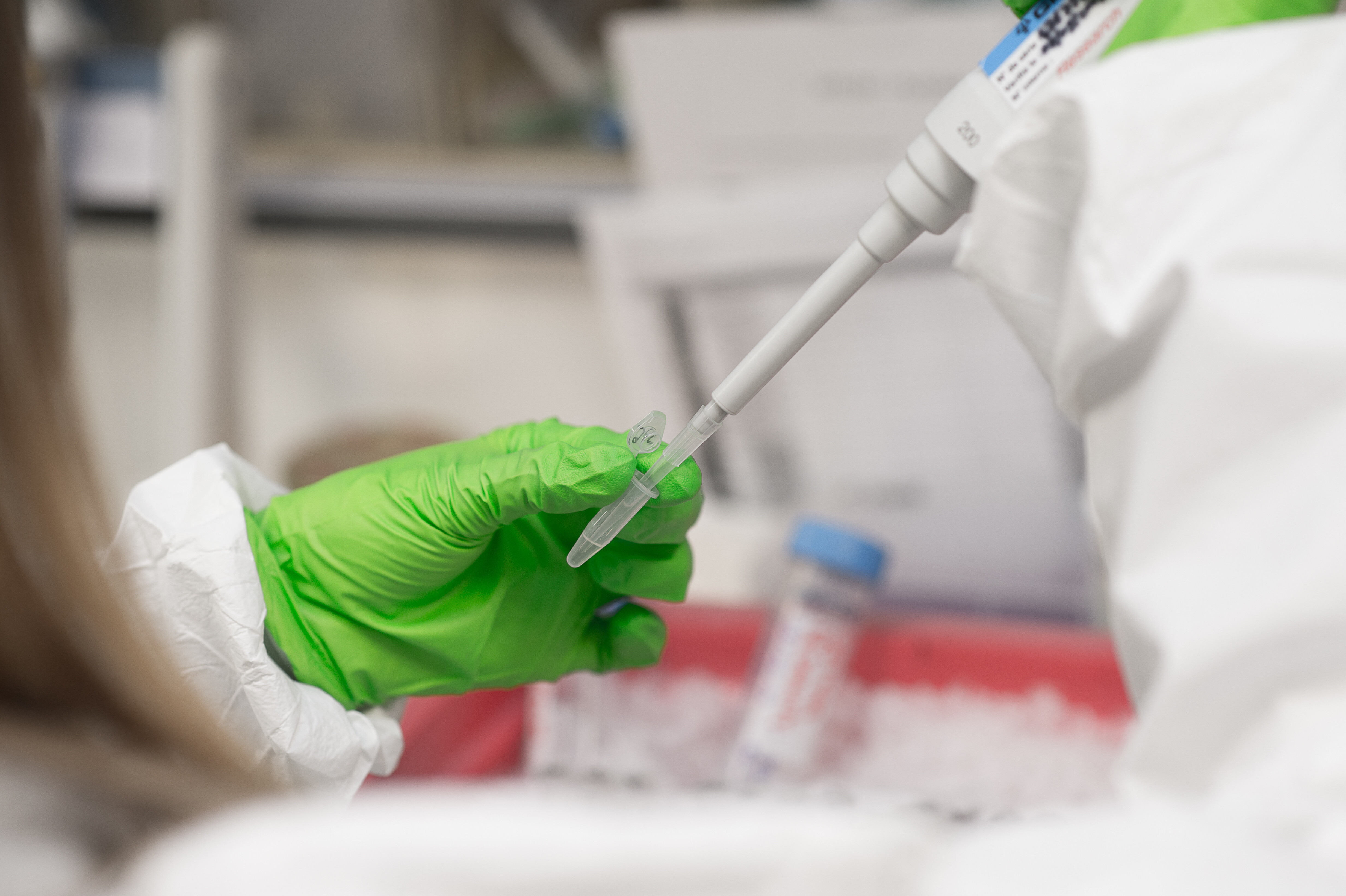 Test positivi per il vaccino contro il cancro al pancreas