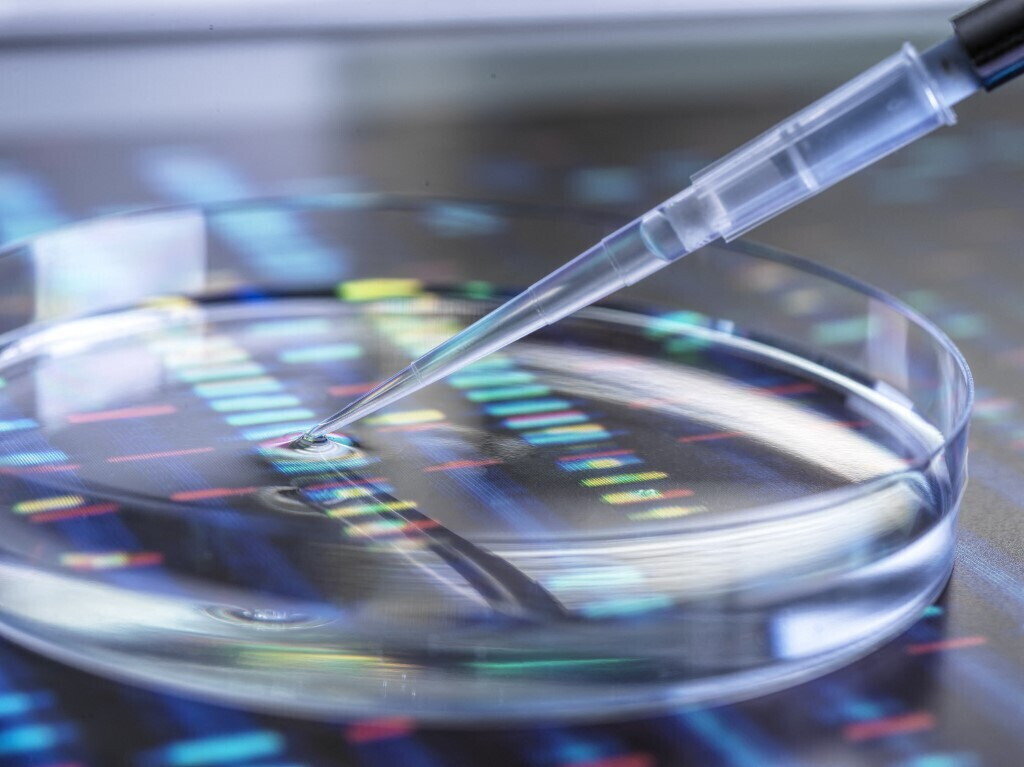 Addio alle diete “fotocopia”: oggi la nutrizione si scrive nel DNA