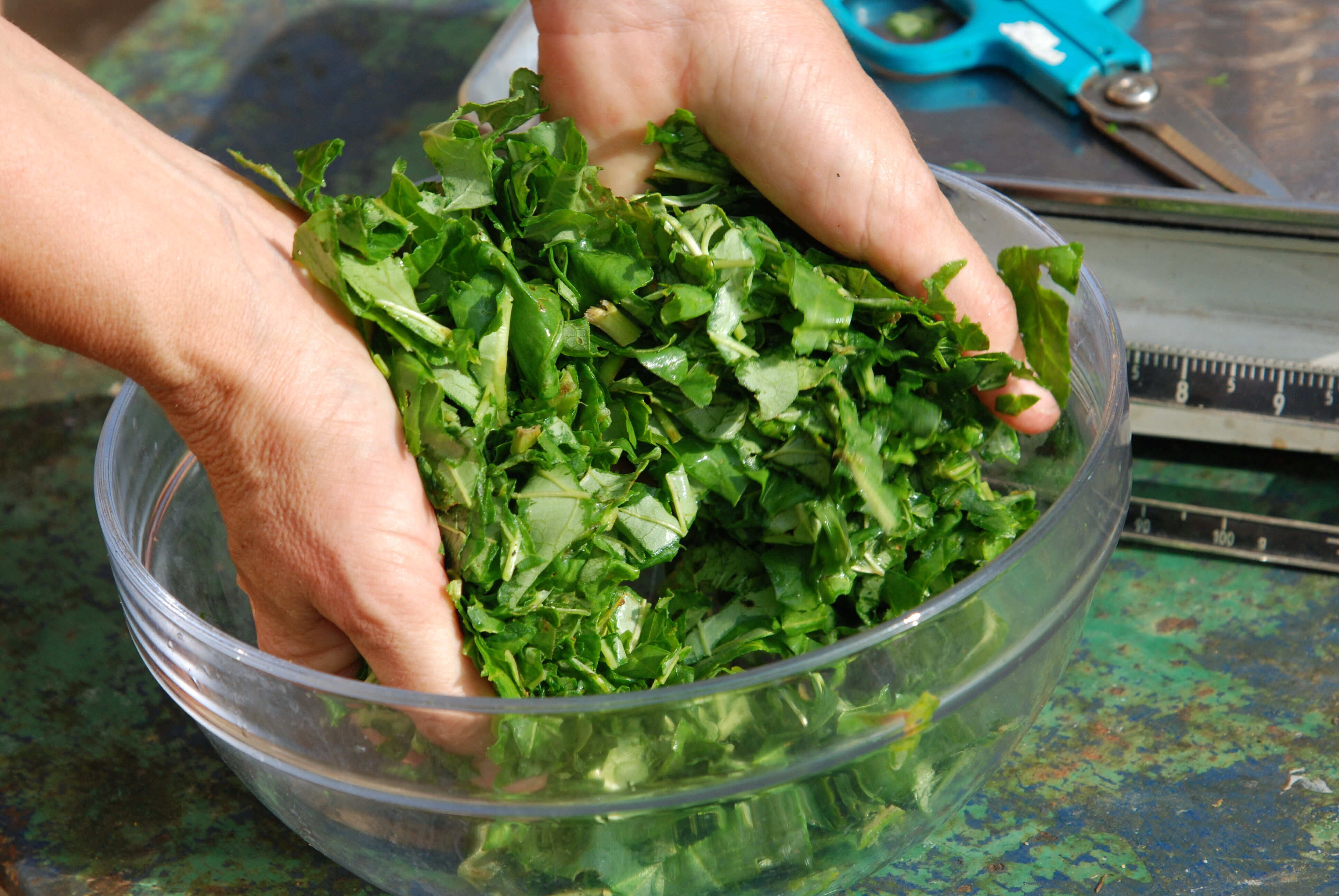 USA, boom di infezioni intestinali e vendite di insalata in picchiata
