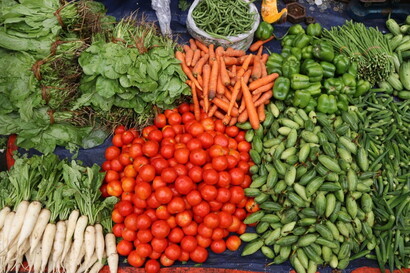 Dieta vegetale e EAT-Lancet: perchè ci guadagnano i reni