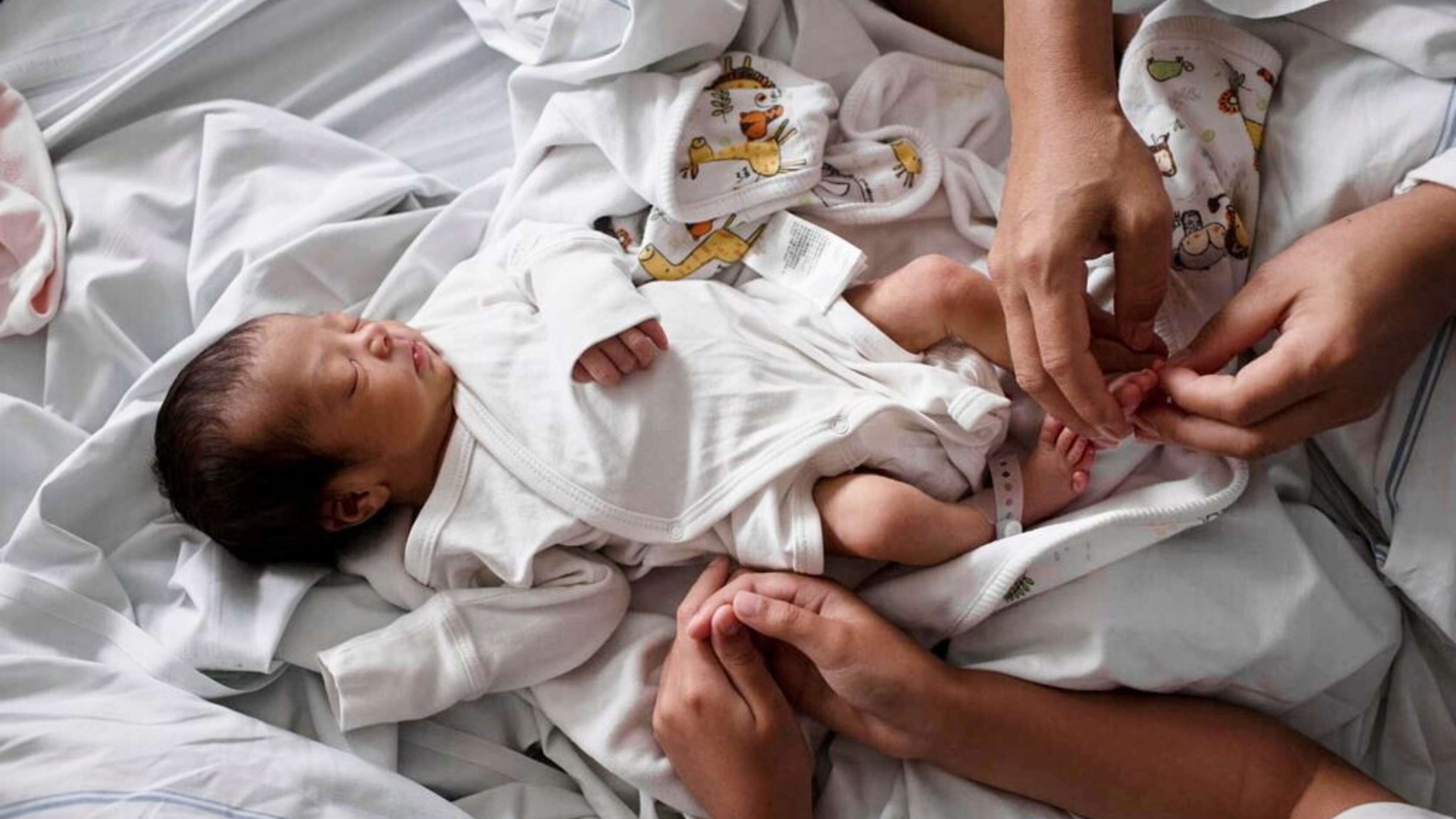 "Padre" e "madre" sulla carta d’identità. Il governo ricorre in Cassazione