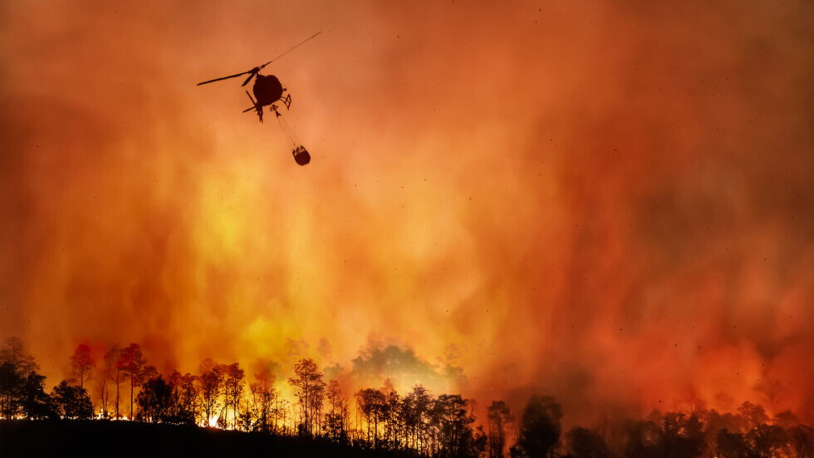 Negli ultimi 20 anni gli incendi estremi sono raddoppiati, ecco i luoghi più colpiti