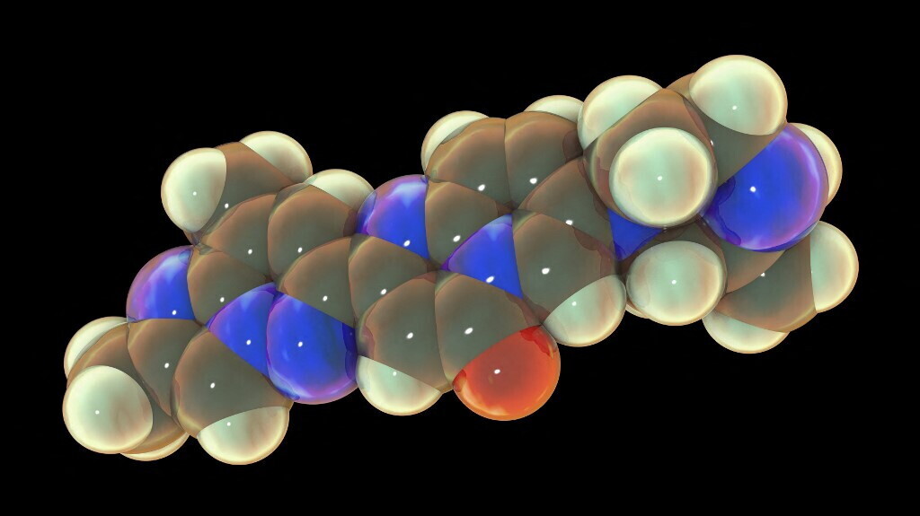 Microrobot guidati da magneti riparano il midollo spinale