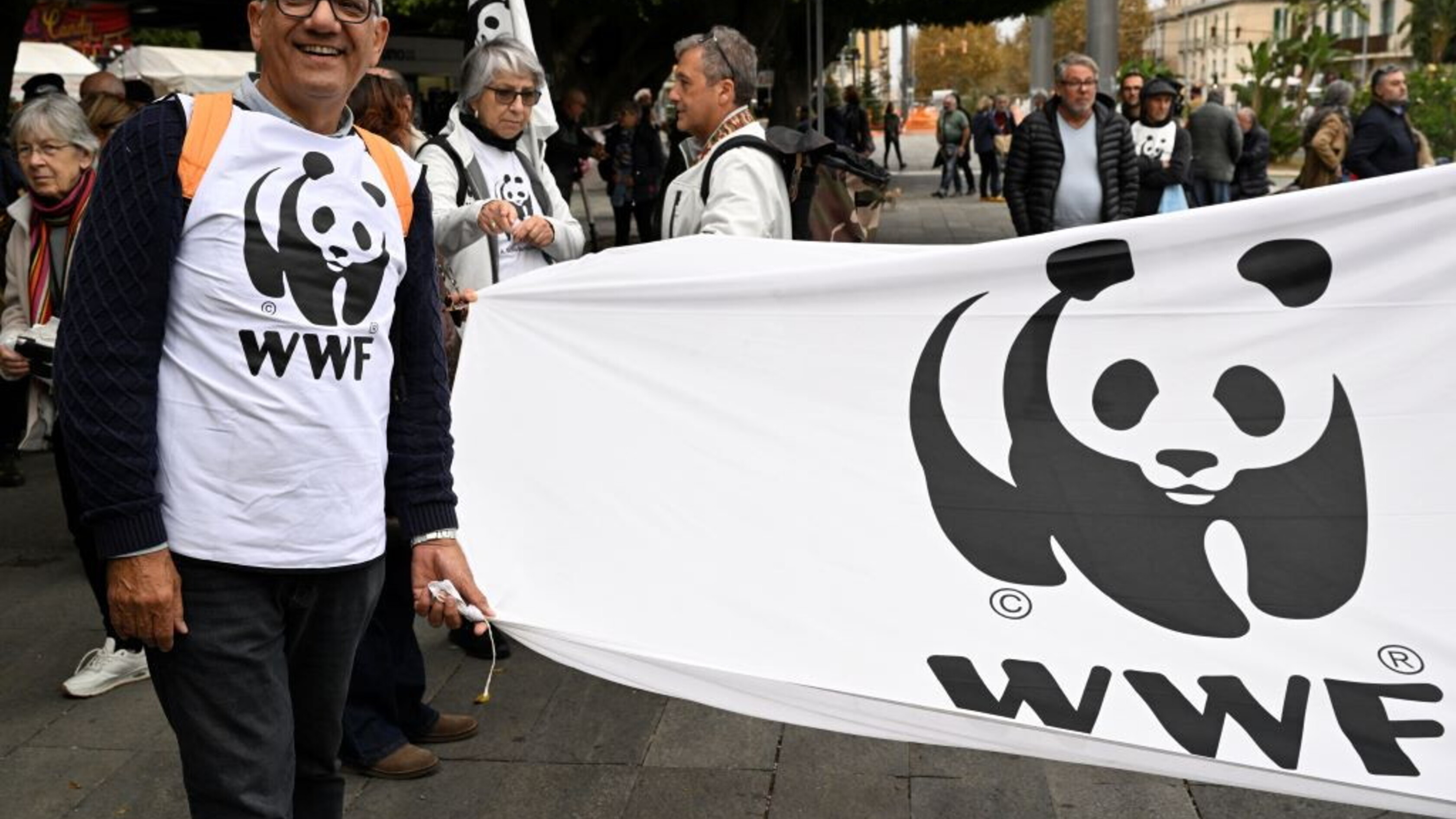 Ponte Stretto: Wwf a deputati, "Fermate l'opera"