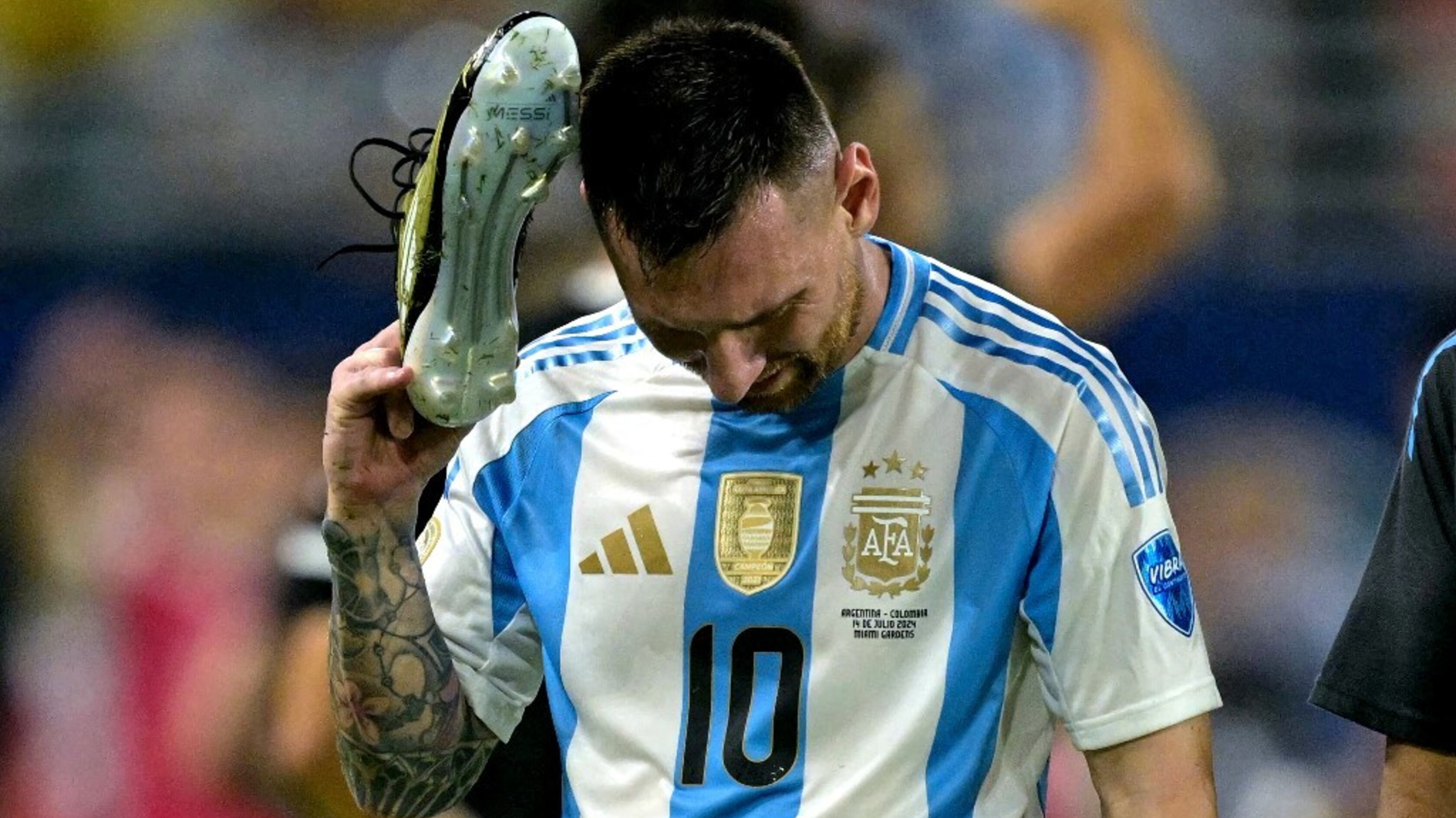 Messi contro gli ambientalisti, 50 mila euro di risarcimento per danni alla villa di Ibiza