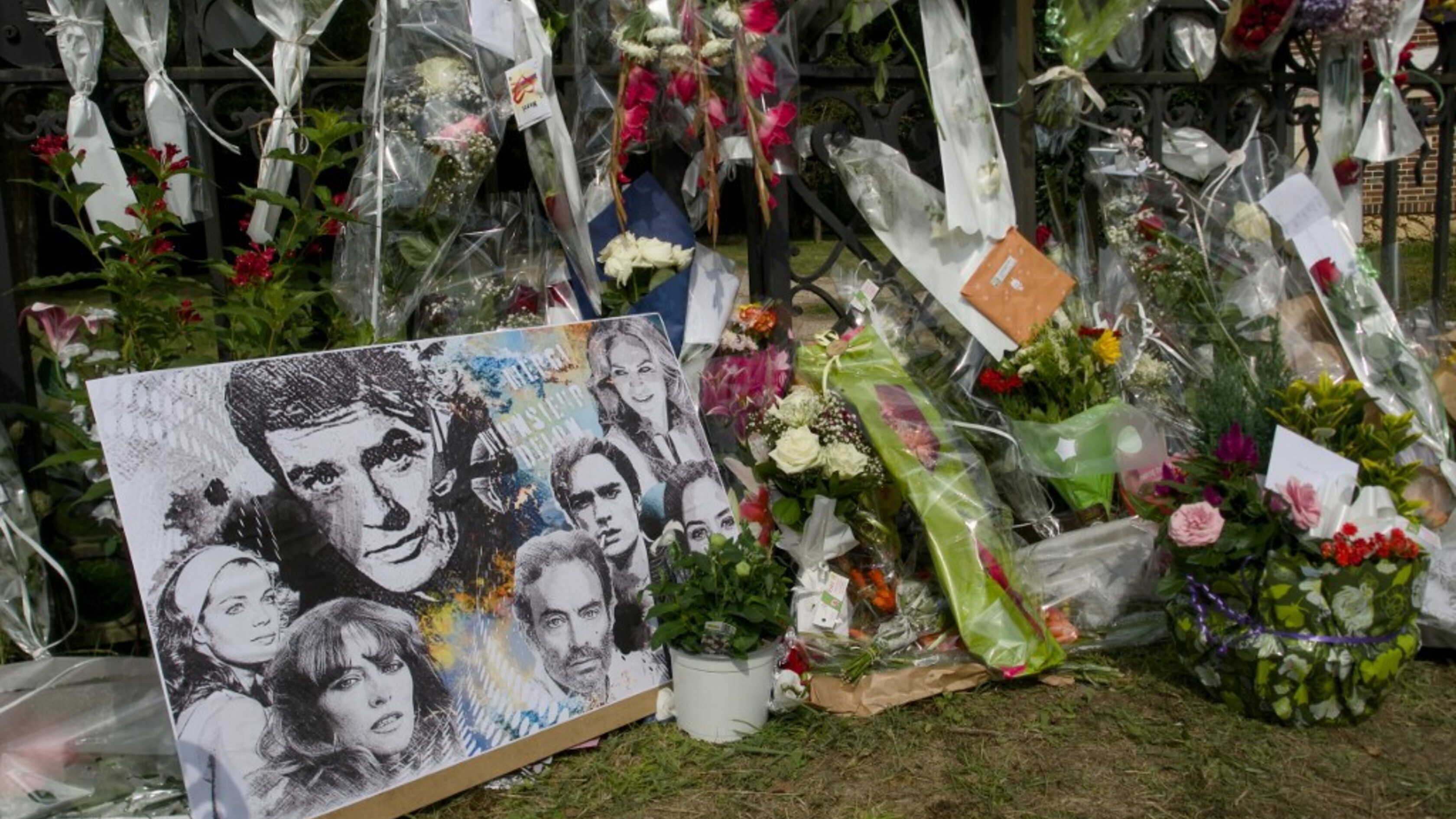 Funerali privati per Alain Delon e poi sarà sepolto con i suoi cani