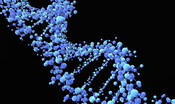 Un filamento di Dna è stato utilizzato per archiviare dati