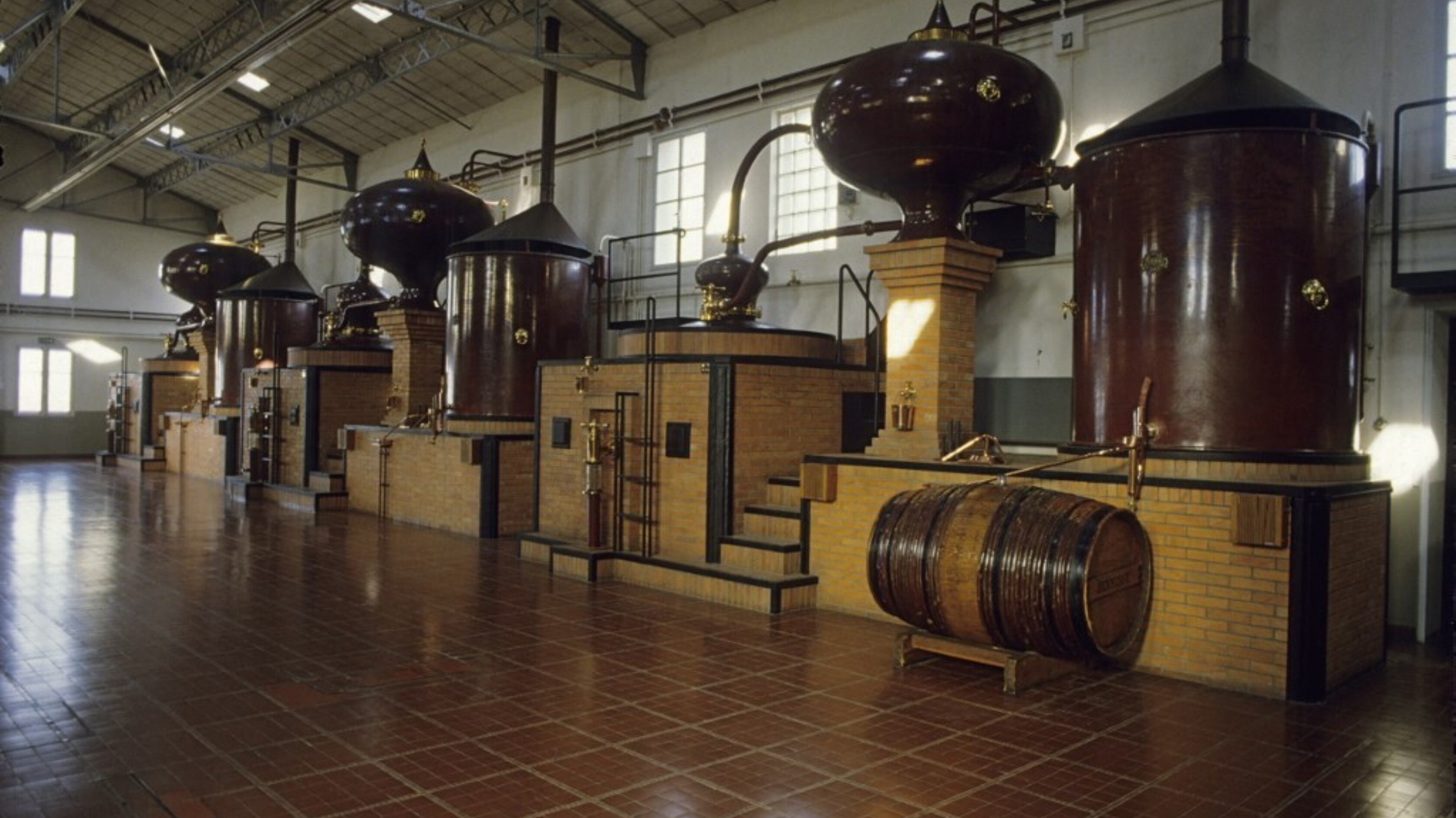 In Borsa si brinda con il cognac