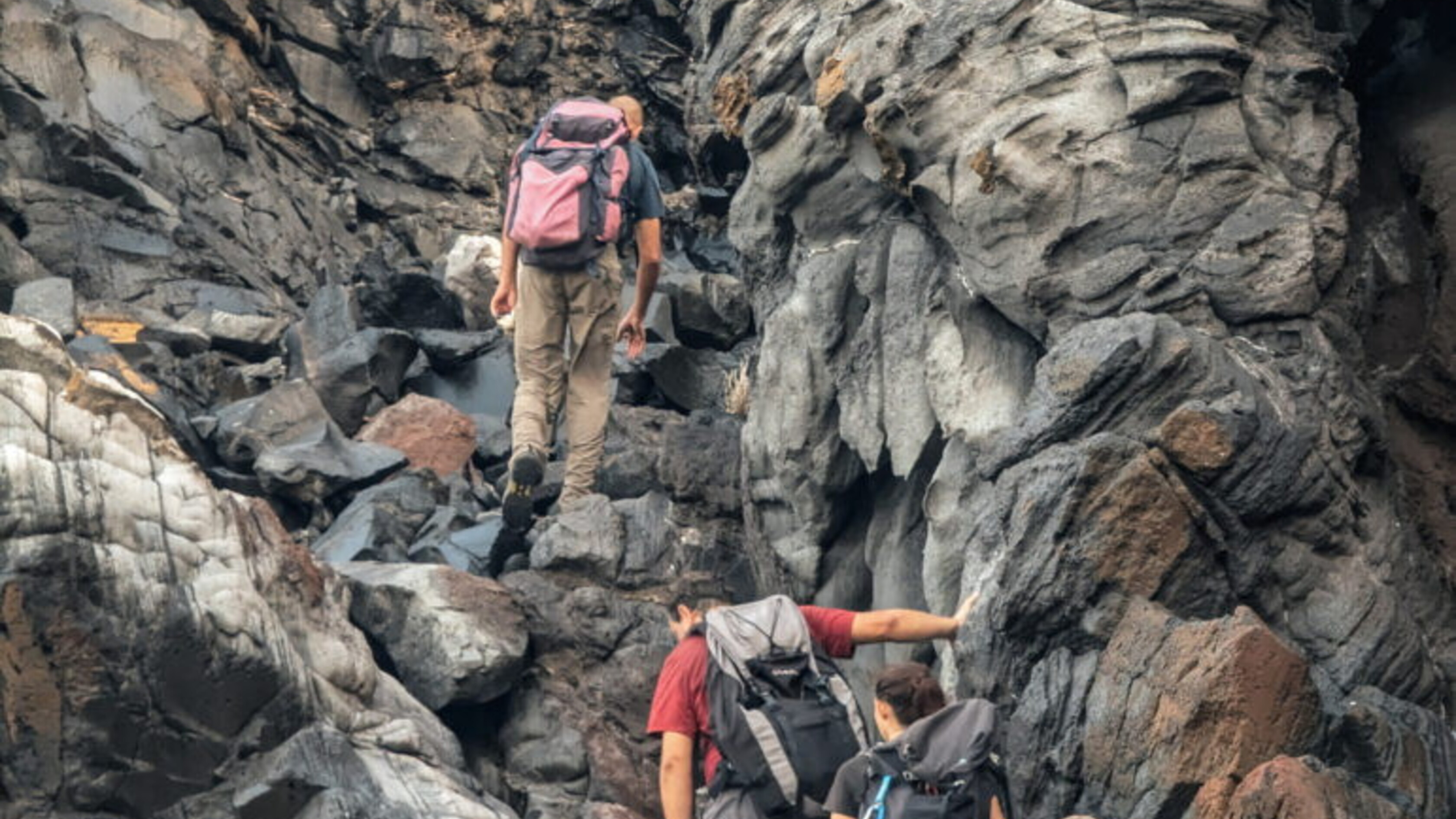 La lucertola delle Eolie a rischio estinzione, la tempesta non ferma il progetto di salvataggio