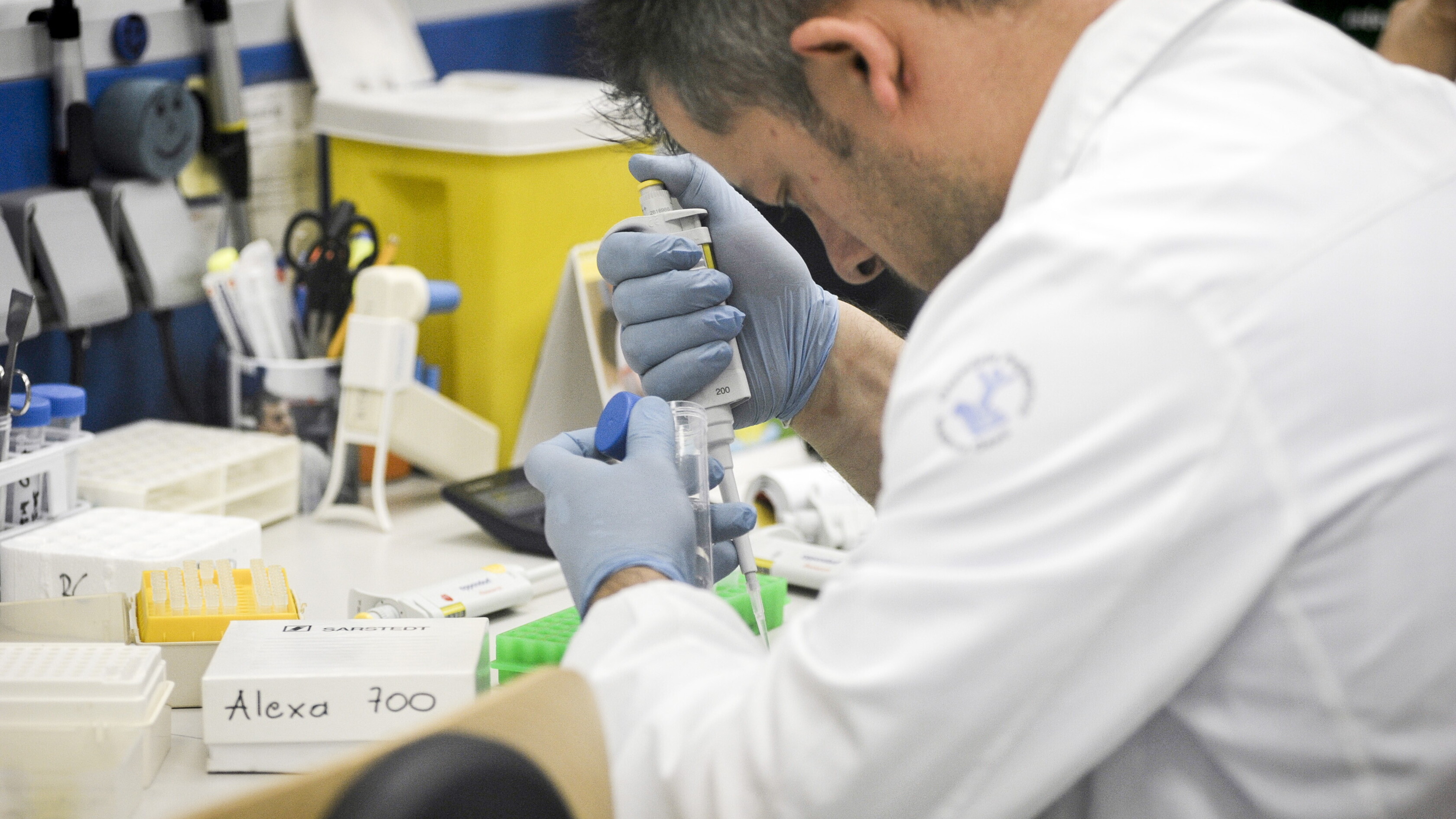 I cinque fattori che predicono la risposta all'immunoterapia