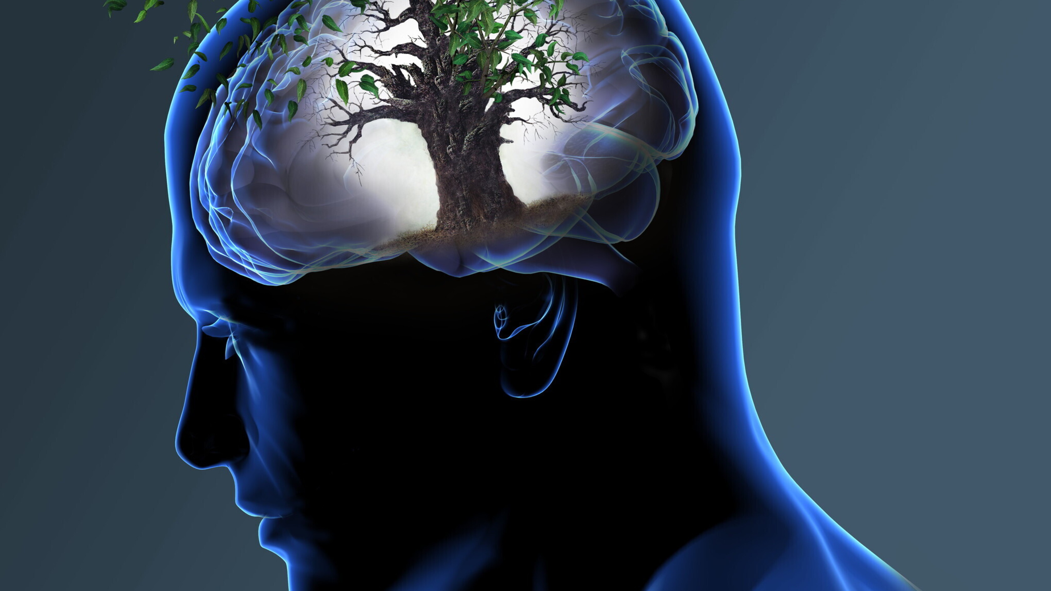 Nell'era post-Covid i malati di Alzheimer sono più giovani e soli