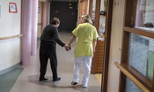 Una proteina riprogrammata è il cavallo di Troia per frenare l'Alzheimer