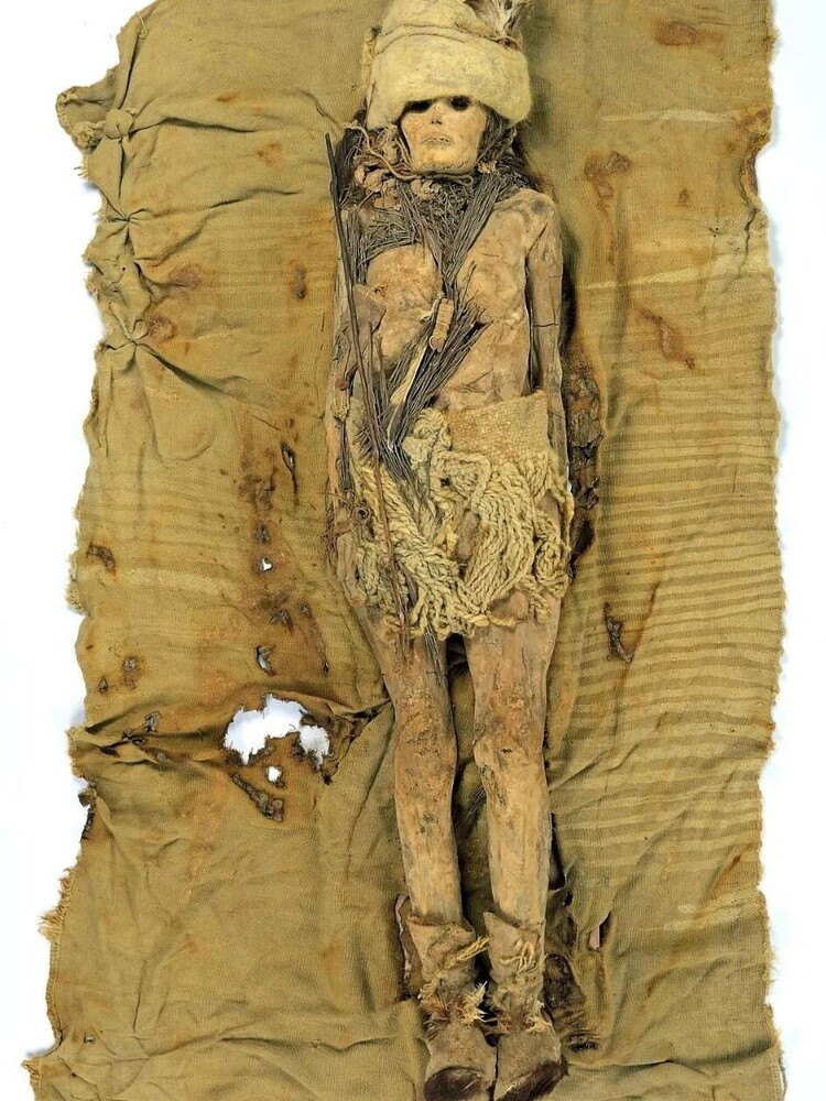 Le mummie cinesi rivelano le origini russe del kefir