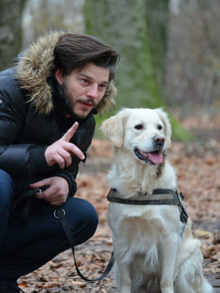 Per farci capire dai cani, parliamo loro più piano