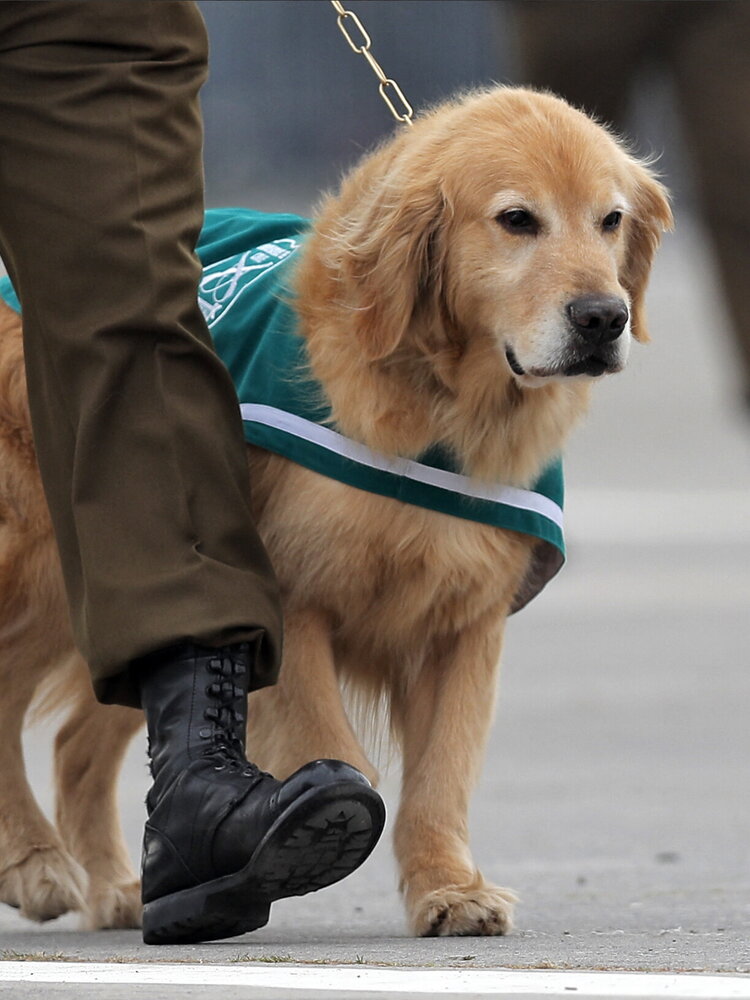 La Russa vuole portare Fido al Senato
