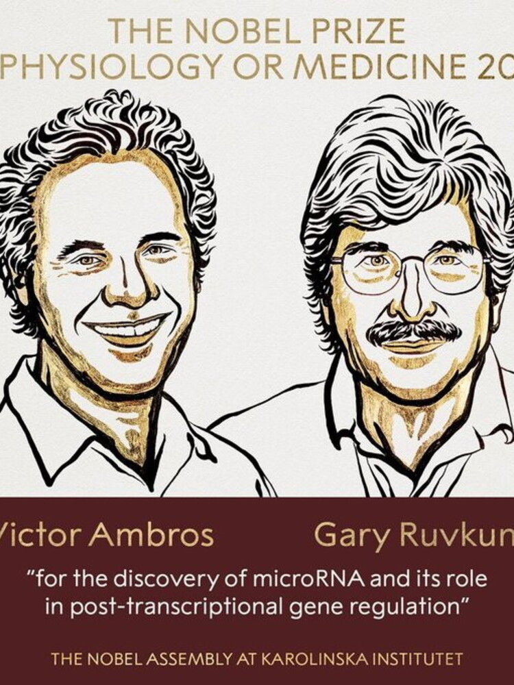 Il Nobel per la medicina agli americani Ambros e Ruvkun, scopritori del micro Rna