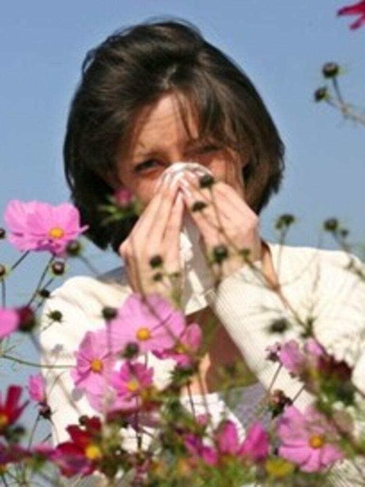 Il vaccino per le allergie resta una chimera per milioni di pazienti