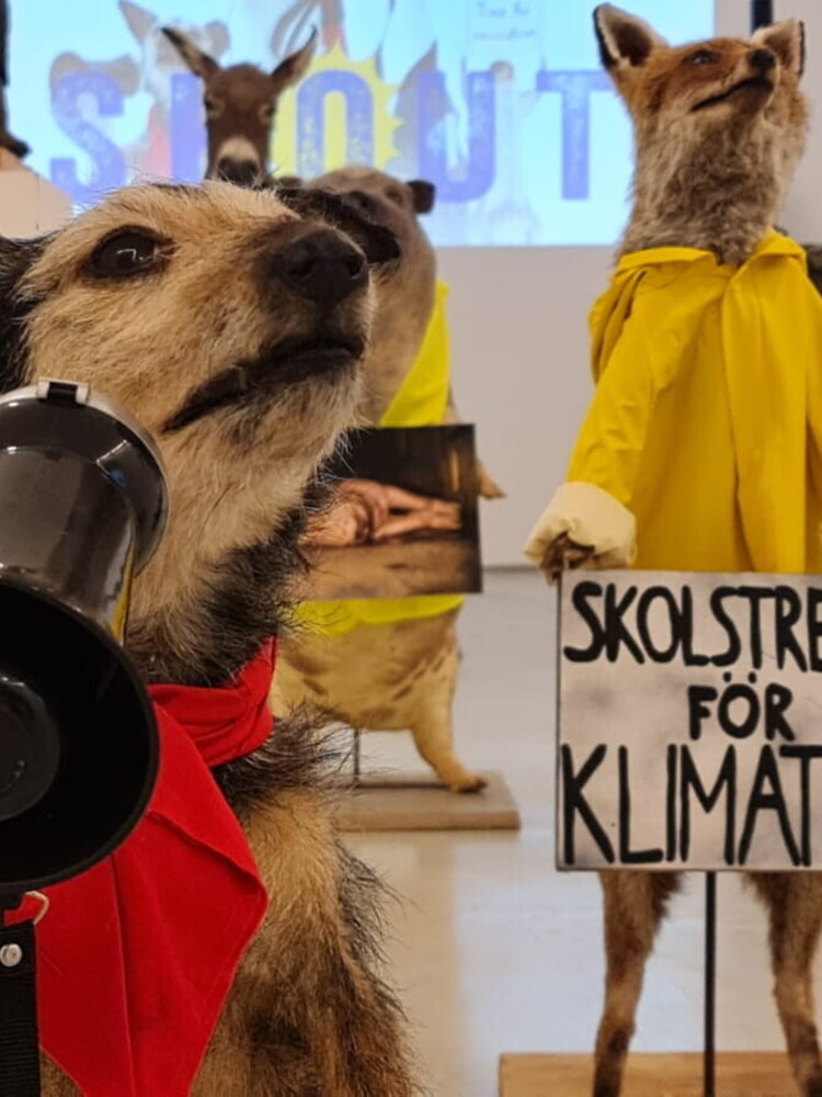 La "Skolstrejk för Klimatet" degli animali. A Milano una installazione contro il collasso ambientale
