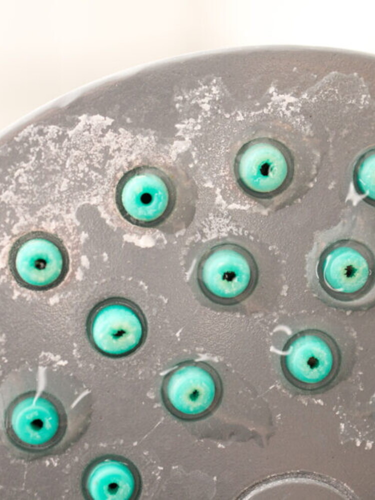 Dal soffione della doccia allo spazzolino da denti, ecco dove si nascondono i virus