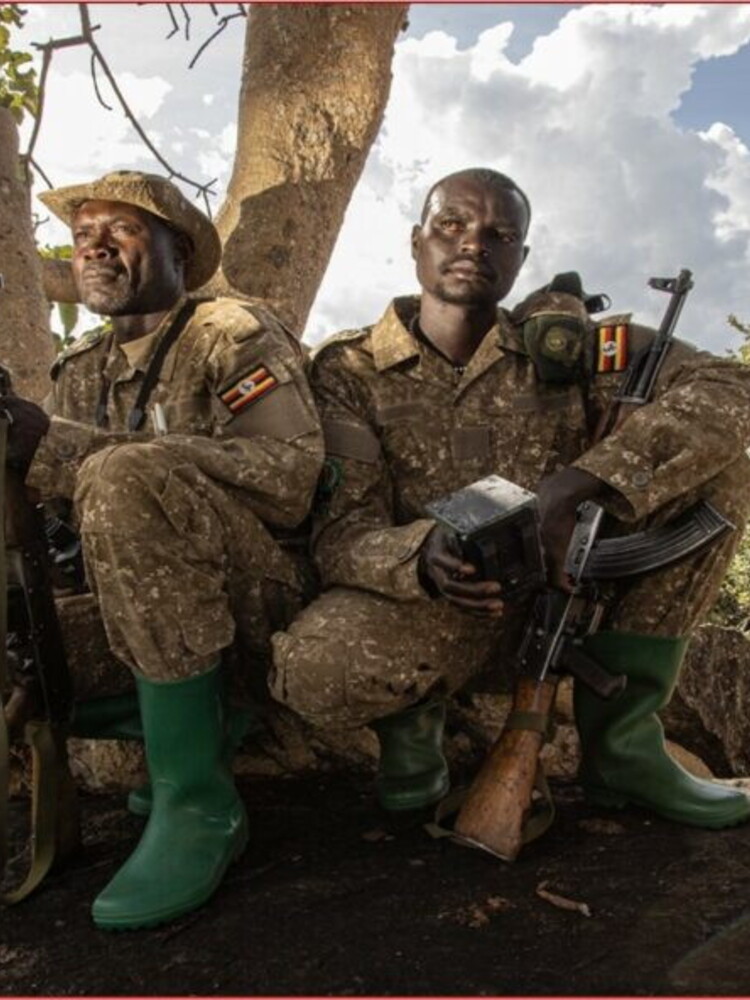 Perchè i ranger stanno monitorando la popolazione dei leoni in Uganda