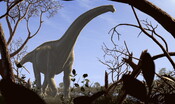 I dinosauri venuti dal freddo dominarono il mondo