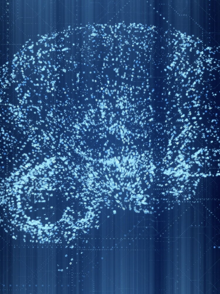 I ricordi sono custoditi nelle stelle del cervello 