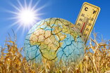 "In Medio Oriente e Nord Africa le temperature saliranno ancora", dicono gli scienziati