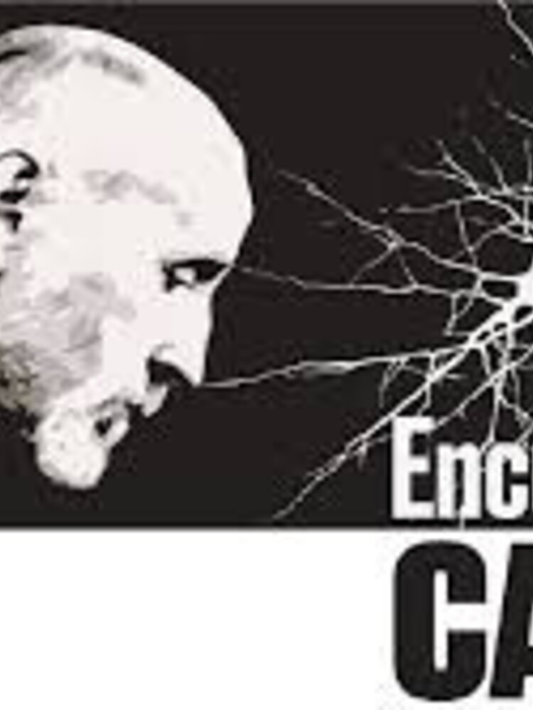 Una nuova generazione di IA copierà il cervello umano